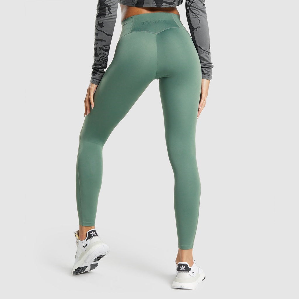 GS Power Support Leggings